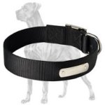 2 Ply Nylon Collar wih Name Tag for Great Dane