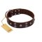"Skull Valley" Handcrafted FDT Artisan Brown Leather Great Dane Collar with Skulls