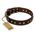 'Fashion Studs' FDT Artisan Decorated Brown Leather Great Dane Collar with Steel Hardware 1 1/2 inch (40 mm) Wide