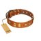 "Egyptian Script" FDT Artisan Tan Leather Great Dane Collar with Plates and Small Studs