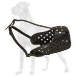 Leather Dog Muzzle for Great Dane