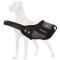 Professional Agitation Training Great Dane Muzzle of Genuine Leather and Nylon