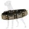Handcrafted Great Dane Spiked Leather Collar | Nickel Massive Plates