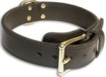 Multi-functional 2 Ply Great Dane Collar