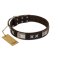 "Satin Beauts" FDT Artisan Brown Leather Great Dane Collar with Stars and Plates