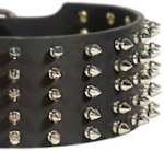 Walking in Style and Grace - Extra Wide Spiked Leather Great Dane Collar