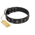 "Star Excitement" Modern FDT Artisan Black Leather Great Dane Collar with Studs and Stars