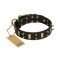"Medieval Style" Leather Great Dane Collar with Goldish Plates and Spikes