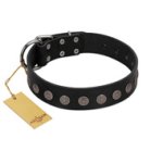 "Silent Star" Handmade FDT Artisan Designer Black Leather Great Dane Collar with Engraved Plates