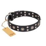 'Refined Essence' FDT Artisan Black Leather Great Dane Dog Collar with Silvery Studs - 1 1/2 inch (40 mm) Wide