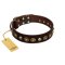 "Street Fashion" FDT Artisan Brown Leather Great Dane Collar Adorned with Circles and Skulls