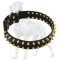 Spiked Leather Great Dane Collar with Brass Hardware