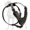 Leather Great Dane Harness with Nickel Plated Spikes