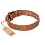 'Stunning Dress' Wide FDT Artisan Tan Leather Collar with Bronze-like Decor for Great Dane