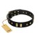 "De Luxe" FDT Artisan Black Leather Great Dane Collar with Old Bronze-like Plates and Studs