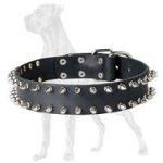 Reliable Leather Great Dane Collar with 2 Rows of Spikes