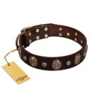 "Breaking the Horizon" FDT Artisan Brown Leather Great Dane Collar with Engraved Studs and Medallions