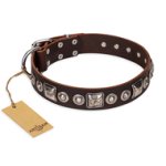 'Pierian spring' FDT Artisan Brown Leather Great Dane Dog Collar with Silvery Decorations - 1 1/2 inch (40 mm) wide
