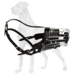 'No Mash' Superior Metal Cage Great Dane Muzzle