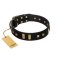 "Fit for Royalty" FDT Artisan Black Leather Great Dane Collar with Plates and Small Square Studs