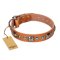 'Era of Future' FDT Artisan Handcrafted Tan Leather Great Dane Dog Collar with Decorations