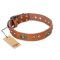 'Stunning Dress' Wide FDT Artisan Tan Leather Collar with Bronze-like Decor for Great Dane