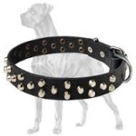 Great Dane Studded Leather Collar | Nickel-Plated Pyramids