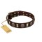 "Skull's Adventure" FDT Artisan Brown Leather Great Dane Collar with Plates and Ovals