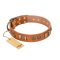 "Natural Beauty" FDT Artisan Tan Leather Great Dane Collar with Old Bronze-like Circles and Plates
