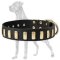 Gorgeous Wide Leather Collar With Plates for Great Dane