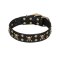 'Jolly Rojer' FDT Artisan Leather Dog Collar with Pirate Skulls and Studs for Great Dane