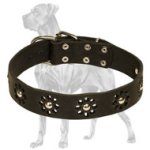 "Elegant Flower" Leather Dog Collar for Great Dane Walking
