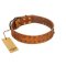 "Walk and Shine" FDT Artisan Tan Leather Great Dane Collar with Antiqued Studs