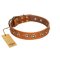 "Precious Relic" FDT Artisan Tan Leather Great Dane Collar Adorned with Old Bronze Look Studs