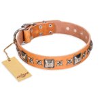 'Silver Chic' FDT Artisan Tan Leather Great Dane Collar with Silvery-plated Decorations