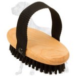 Bristle Wooden Great Dane Brush with a Nylon Handle