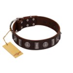 "Spiky Way" FDT Artisan Brown Leather Great Dane Collar with Silver-Like Decorations