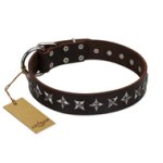 "Stars of Glory" FDT Artisan Brown Leather Great Dane Collar for Comfortable Walking