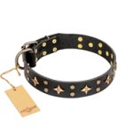 "A La Mode" FDT Artisan Black Great Dane Collar of Genuine Leather