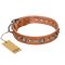'Daily Chic' FDT Artisan Tan Leather Great Dane Collar with Decorations