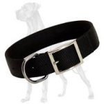 Amazing 2 Ply Nylon Collar for Great Dane