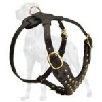 Sikllfully Studded Leather Canine Harness For Great Dane