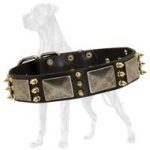 Handcrafted Great Dane Spiked Leather Collar | Nickel Massive Plates