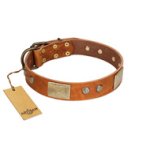 "Ancient Treasures" FDT Artisan Tan Leather Great Dane Collar with Antiqued Plates and Studs