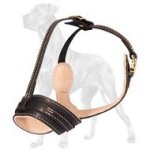 Extra Comfort High-Q Nappa Padded Leather Dog Muzzle