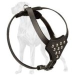 Soft Leather Great Dane Puppy Harness
