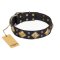"Fancy-Schmancy" FDT Artisan Black Leather Great Dane Collar