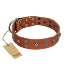 "Road Rider" FDT Artisan Tan Leather Great Dane Collar with Old Silver-like Skulls and Medallions