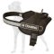Functional Nylon Great Dane Harness for Night Walks and Training