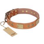 'The Middle Ages' FDT Artisan Handcrafted Tan Leather Great Dane Dog Collar